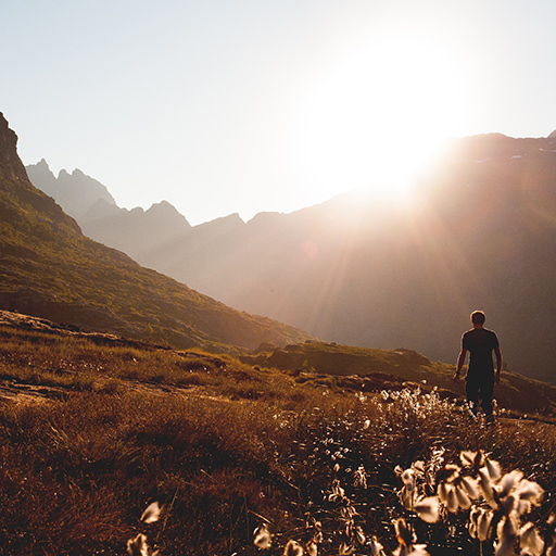 Systemische Therapie